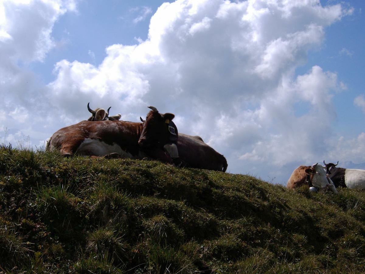 Allgaeu Haus Isny im Allgäu Esterno foto